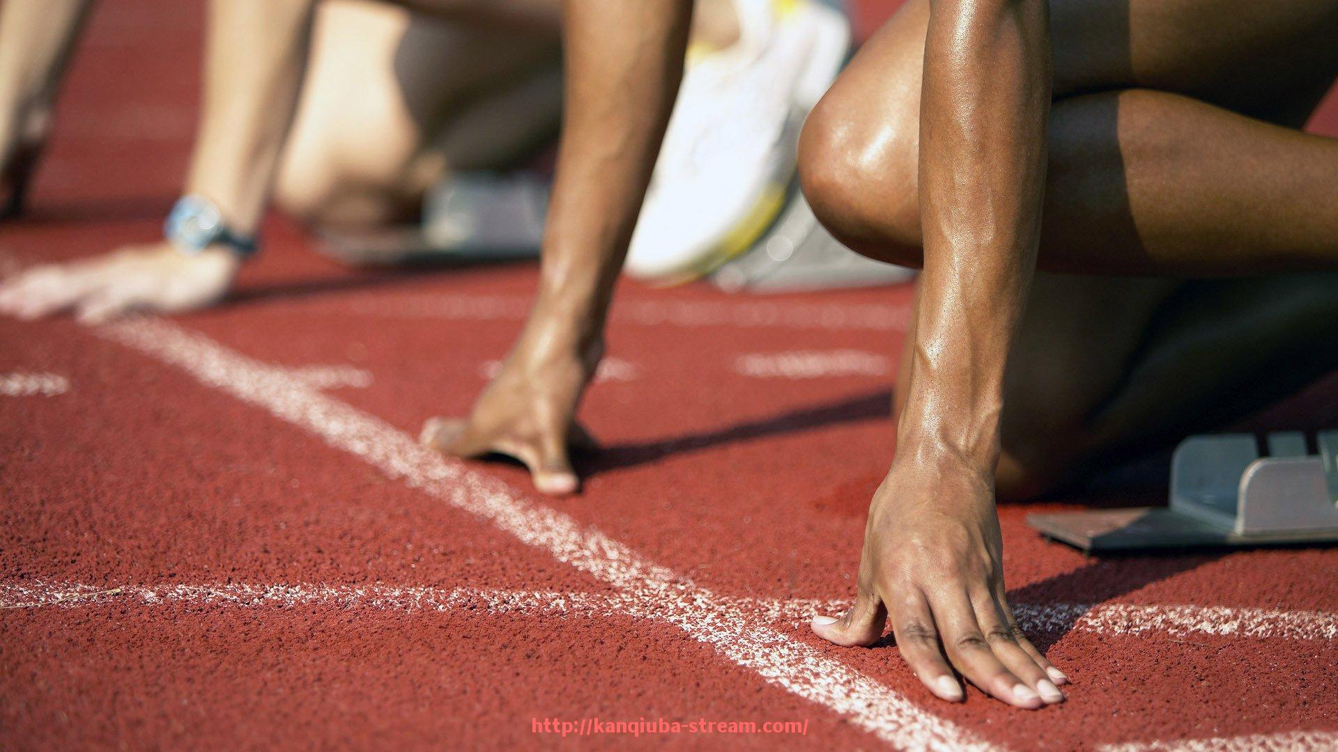 看球吧直播-单位健身器材摆放规范及合理布局方案